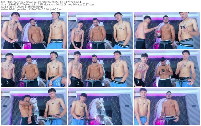 stripchat-iam_steven-11-15-2025-17-57-23