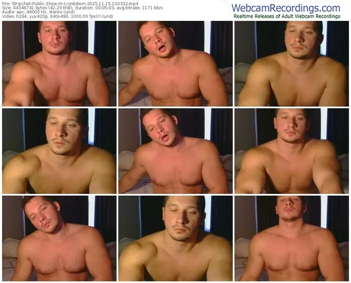 stripchat-lionedwin-11-15-2025-10-03-32