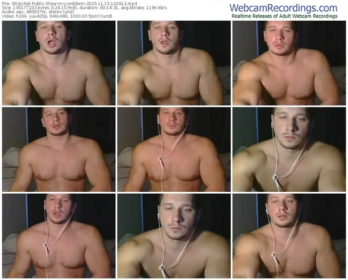 stripchat-lionedwin-11-15-2025-12-09-12