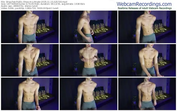 stripchat-litmate-11-15-2025-02-57-00