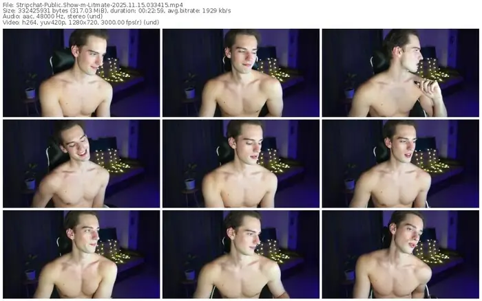 stripchat-litmate-11-15-2025-03-34-15