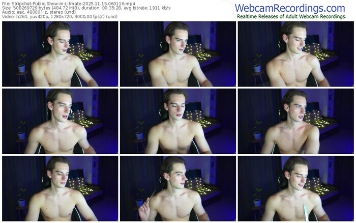 stripchat-litmate-11-15-2025-06-01-16