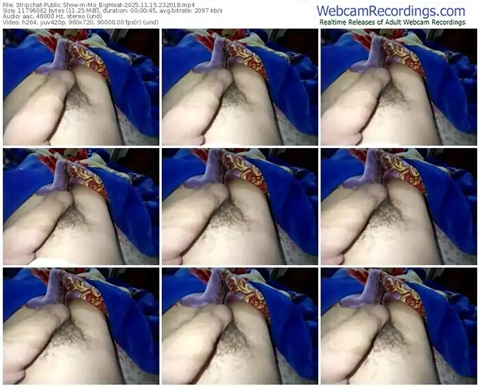 stripchat-mo_bigmeat-11-15-2025-23-20-18