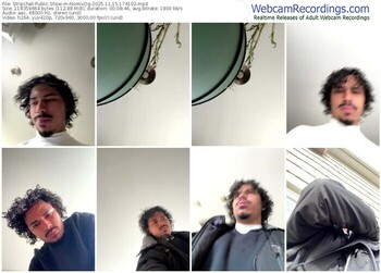 stripchat-nomixdg-11-15-2025-17-41-02