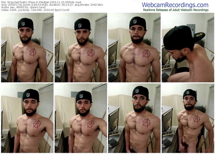 stripchat-paidbat-11-15-2025-05-06-41