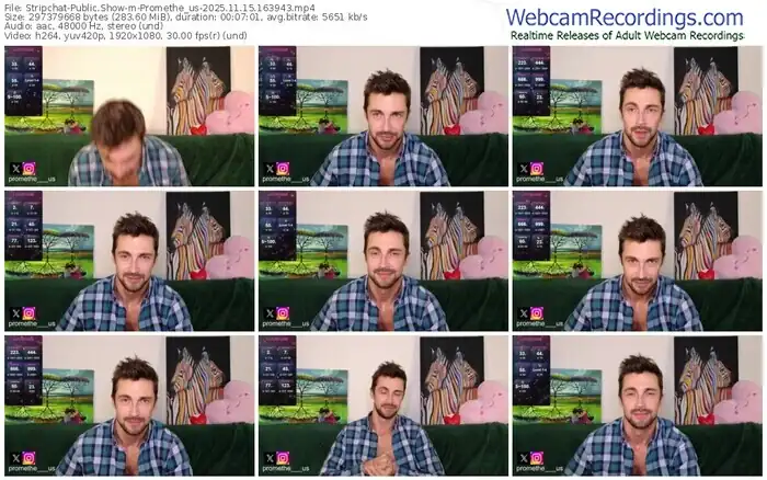 stripchat-promethe_us-11-15-2025-16-39-43