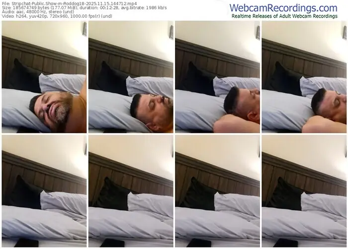 stripchat-roddog18-11-15-2025-14-47-12