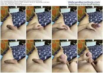 stripchat-sextigr2003-11-15-2025-19-46-30