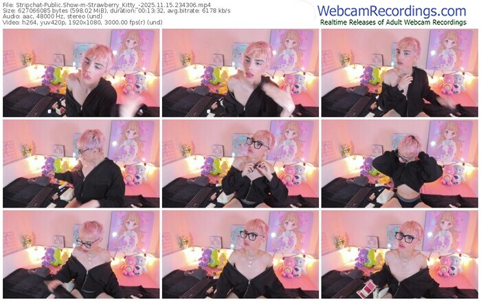 stripchat-strawberry_kitty_-11-15-2025-23-43-06
