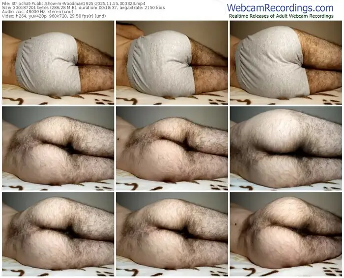 stripchat-woodman1925-11-15-2025-00-33-23