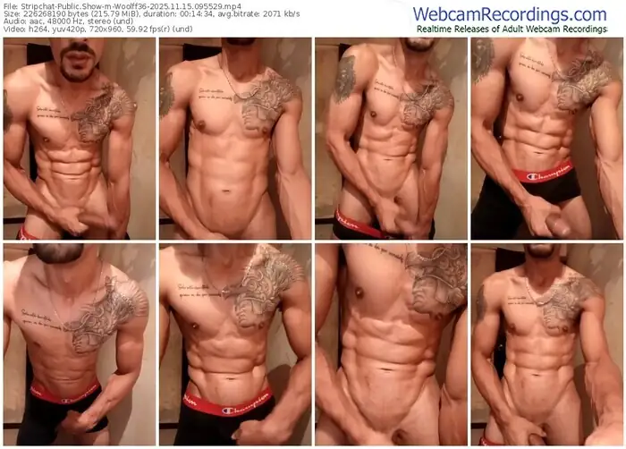 stripchat-woolff36-11-15-2025-09-55-29
