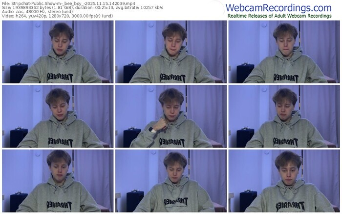 stripchat-_bee_boy_-11-15-2025-14-20-39