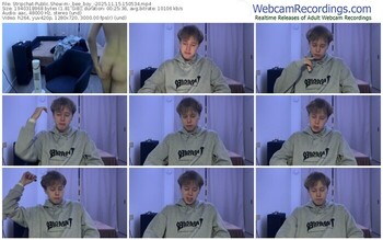 stripchat-_bee_boy_-11-15-2025-15-05-34