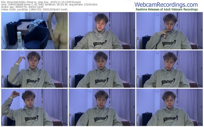 stripchat-_bee_boy_-11-15-2025-15-05-34