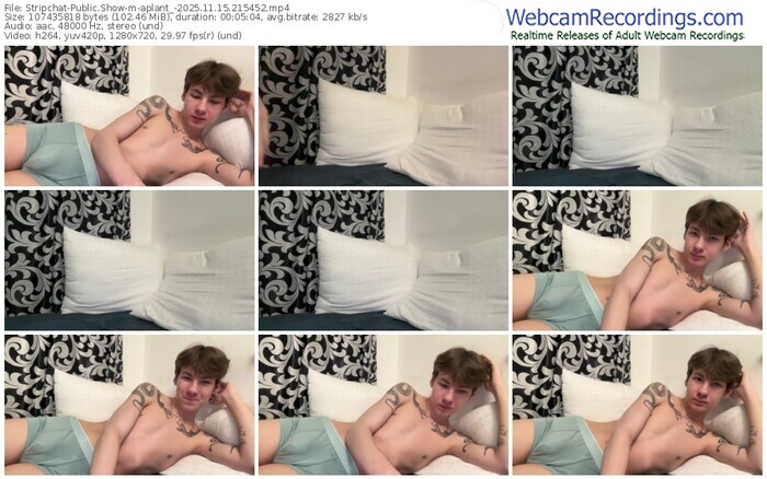 stripchat-aplant_-11-15-2025-21-54-52