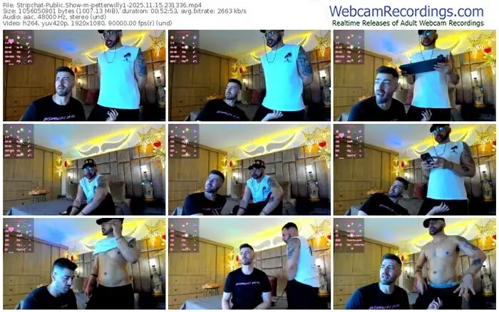 stripchat-petterwilly1-11-15-2025-23-13-36