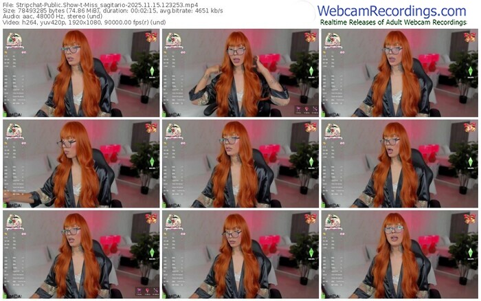 stripchat-miss_sagitario-11-15-2025-12-32-53