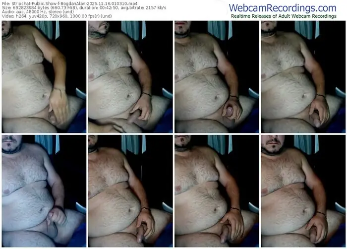 stripchat-bogdanalan-11-16-2025-01-03-10