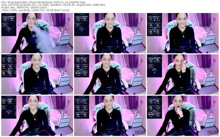 stripchat-breeterner-11-16-2025-20-06-56