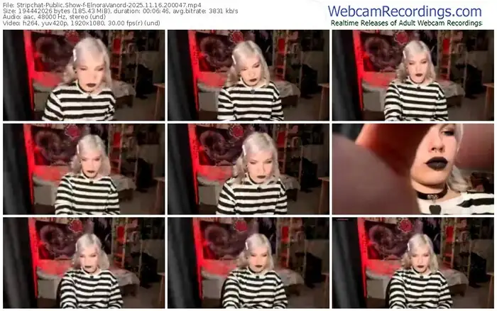 stripchat-elnoravanord-11-16-2025-20-00-47