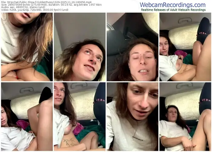 stripchat-goldenpussy1329-11-16-2025-16-06-56