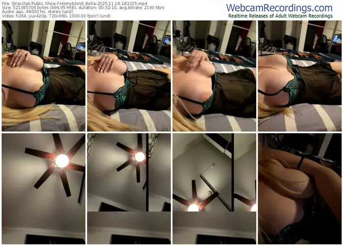 stripchat-hornyblond_bella-11-16-2025-18-32-25