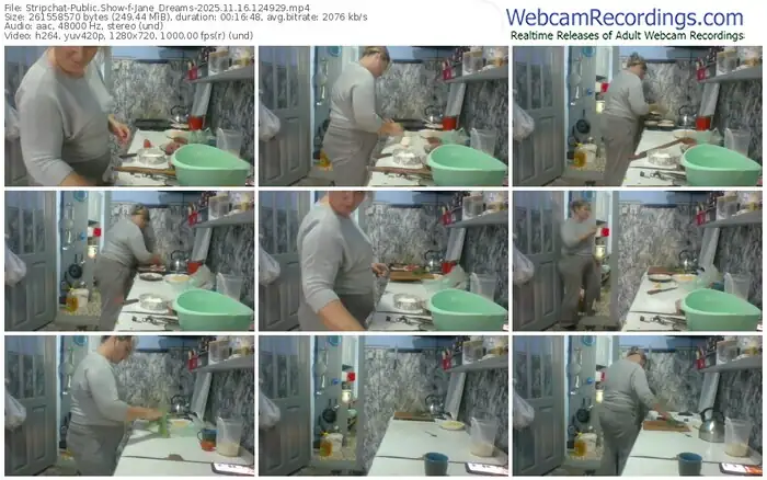 stripchat-jane_dreams-11-16-2025-12-49-29