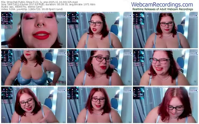 stripchat-lily_lu_one-11-16-2025-00-13-25