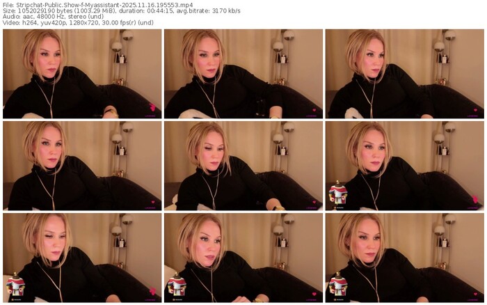 stripchat-myassistant-11-16-2025-19-55-53