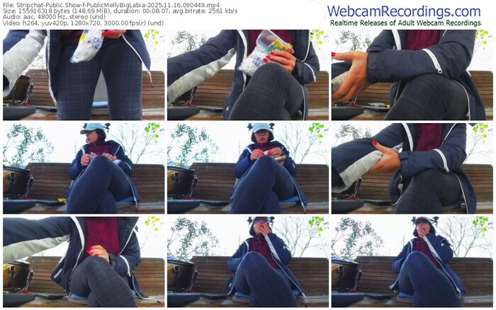 stripchat-publicmellybiglabia-11-16-2025-09-04-49