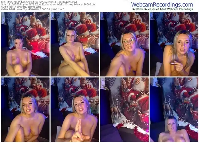 stripchat-spicyvicky-11-16-2025-07-42-29