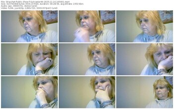 stripchat-sylviastar46-11-16-2025-16-56-01