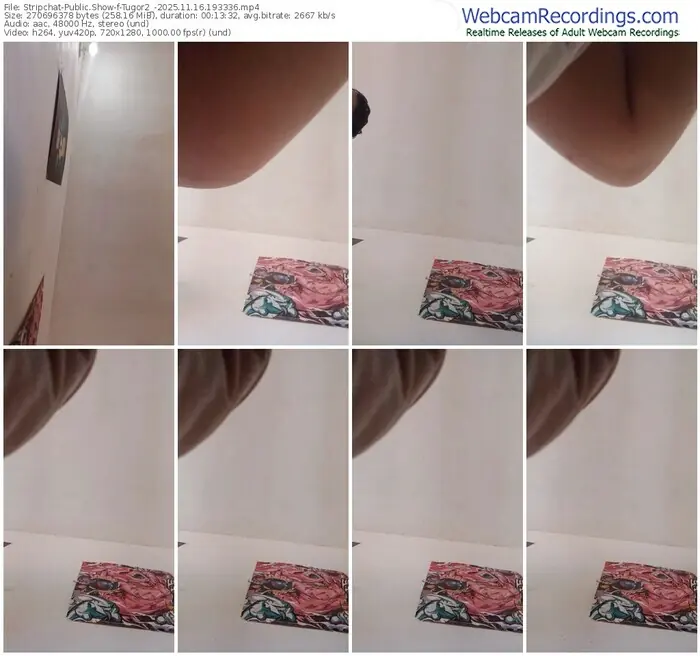 stripchat-tugor2_-11-16-2025-19-33-36