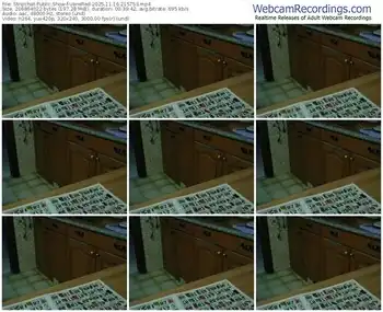 stripchat-venered-11-16-2025-21-57-53