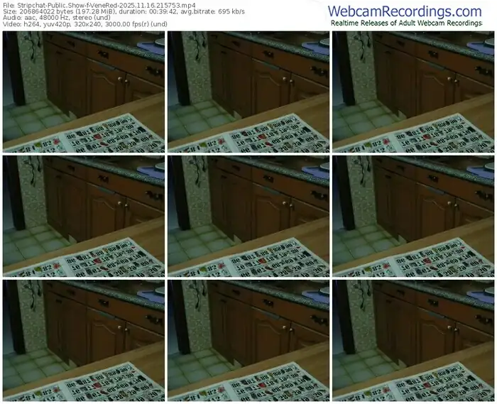 stripchat-venered-11-16-2025-21-57-53