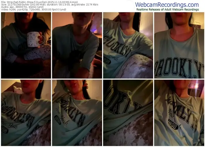 stripchat-xlucillex-11-16-2025-00-36-14