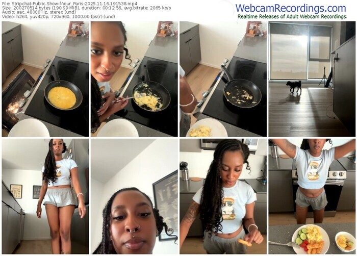 stripchat-your_paris-11-16-2025-19-15-38