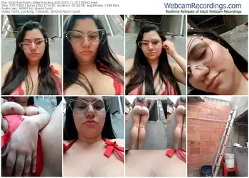 stripchat-ariana_d20-11-16-2025-12-58-42