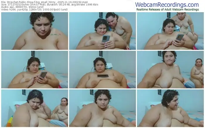 stripchat-big_small_h0rny_-11-16-2025-20-02-32