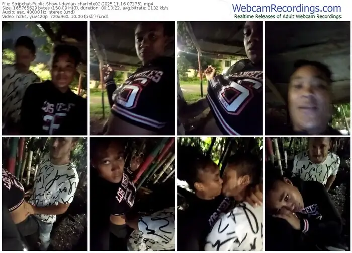 stripchat-dahian_charlote02-11-16-2025-07-17-51