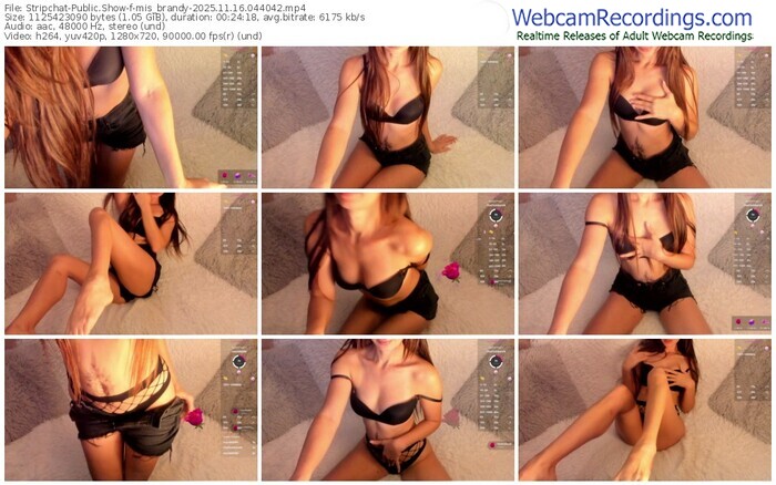 stripchat-mis_brandy-11-16-2025-04-40-42