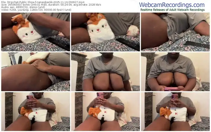 stripchat-nanaisbackk-11-16-2025-09-09-27