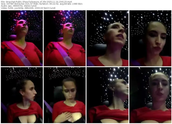 stripchat-pleasure_of_life-11-16-2025-23-41-23