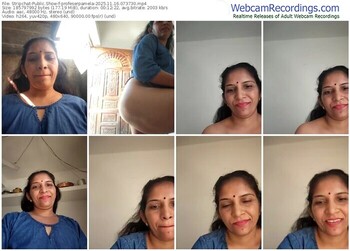 stripchat-profeserpamela-11-16-2025-07-37-30