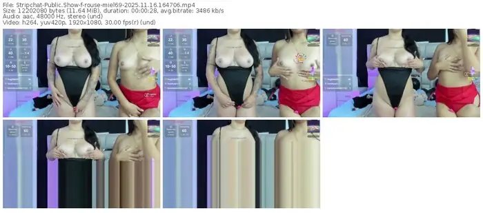 stripchat-rouse-miel69-11-16-2025-16-47-06