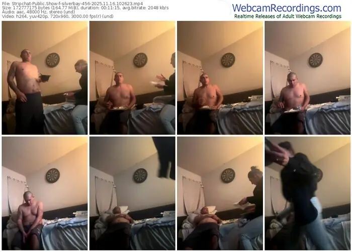 stripchat-silverbay-456-11-16-2025-10-26-23