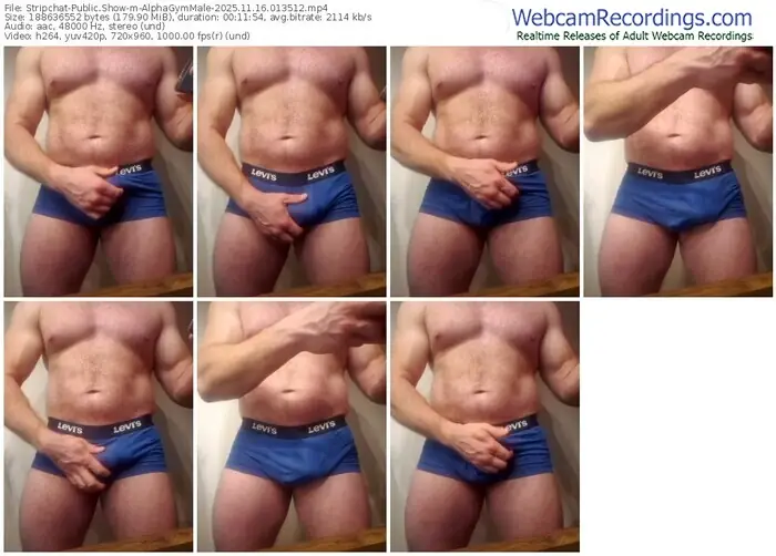 stripchat-alphagymmale-11-16-2025-01-35-12