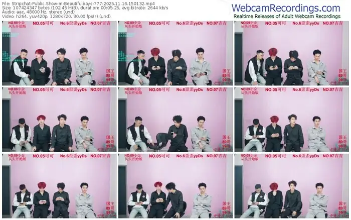 stripchat-beautifulboys-777-11-16-2025-15-01-32