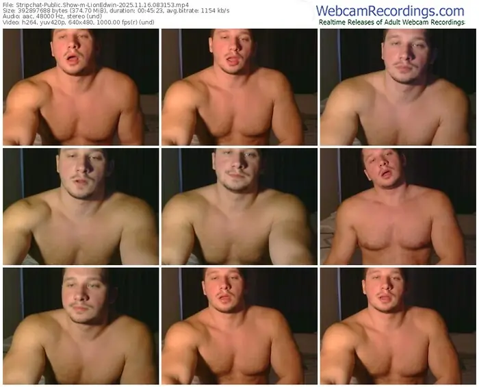stripchat-lionedwin-11-16-2025-08-31-53