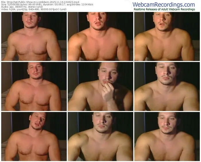stripchat-lionedwin-11-16-2025-10-46-23